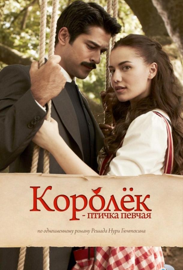 Королёк – птичка певчая (2013)