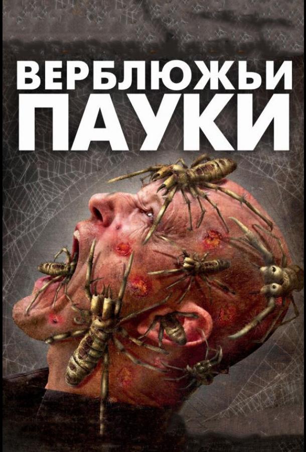 Верблюжьи пауки (2011)